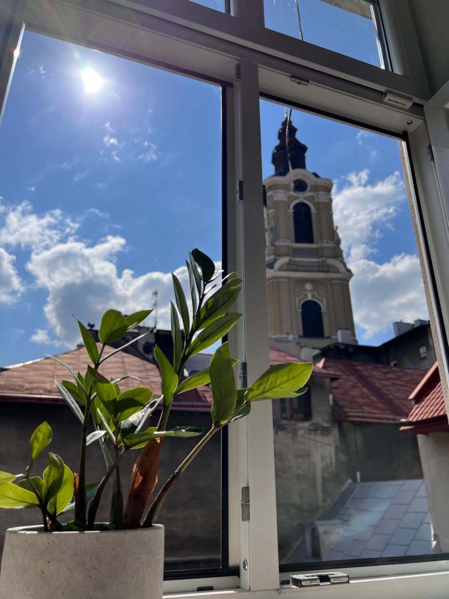 Apartament Grodzki Przemyśl Exterior foto